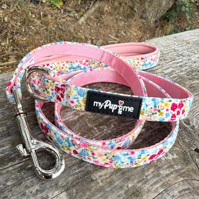 Luxury Blue Meadow Floral Dog Lead for Chihuahuas, Toy Breeds &amp; Small Puppies
