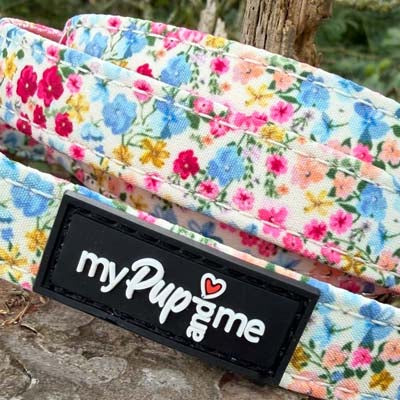 Luxury Blue Meadow Floral Dog Lead for Chihuahuas, Toy Breeds & Small Puppies