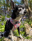 Luxury Blue Meadow Floral Dog Harness for Chihuahuas, Toy Breeds & Puppies