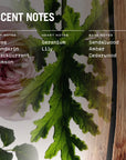 Medina Rose 100ml Reed Diffuser