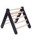 Wooden Pikler Climbing Ladder Black