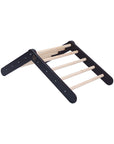 Wooden Pikler Climbing Ladder Black