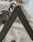 Wooden Pikler Climbing Ladder - Gray