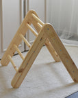 Kids Playhouse with Ladder & Tent – Ideal for Active Fun & Role Play by MeowBaby at www.brixbailey.com