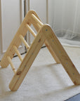 Natural Wood Ladder House With a Blue-Grey Cover