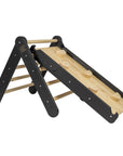 2-in-1 Montessori Ladder & Slide Set – Indoor Outdoor Kids Play Gym by MeowBaby at www.brixbailey.com