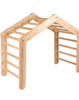 Large Natural Wood Ladder House With a Blue-Grey Cover