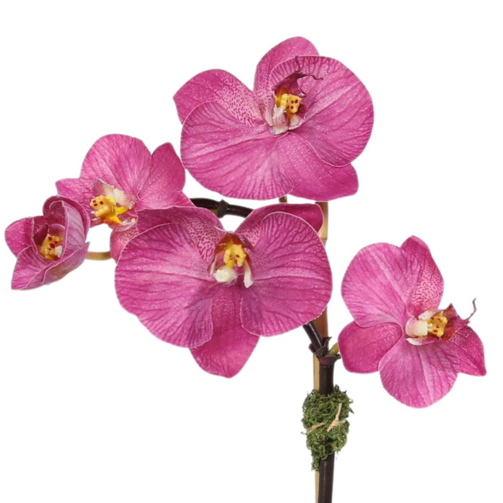Faux Orchid Plant in Glass Vase
