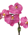 Faux Orchid Plant in Glass Vase