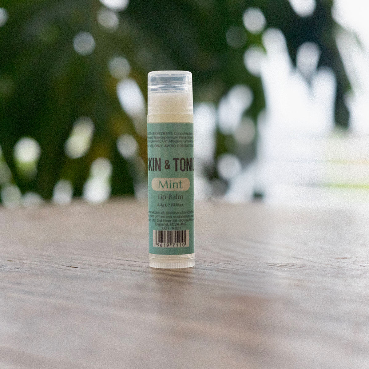 Mint - Lip Balm