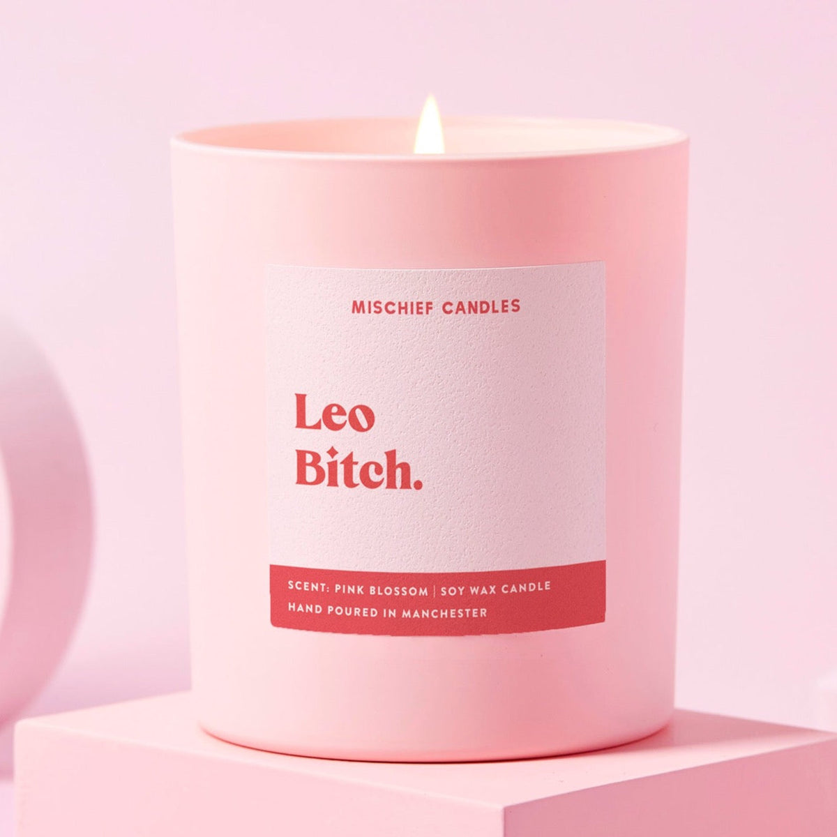 Leo Bitch Candle