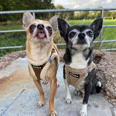 Tiny Trails Step In Soft Touch Suede Effect Faux Fur Lined Puppy and Small Dog Harness Mocha