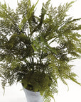 Artificial Fern Drop In 21"