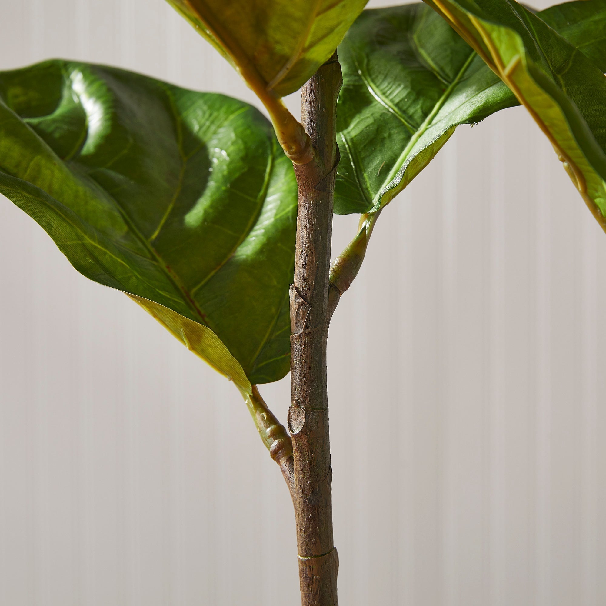 Fiddle Leaf Fig Tree 43"