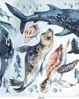 Sea Animals Variety Decal Set - Ocean Theme - Watercolour effect Dolphin, Shark, Turtle & Seal + more