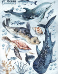 Sea Animals Variety Decal Set - Ocean Theme - Watercolour effect Dolphin, Shark, Turtle & Seal + more