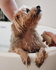 Dog Shampoo Bar - 100% Natural, Vegan & Palm oil-free Shampoo Bar for Dogs