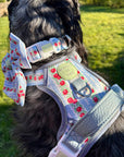 Eden's Orchard - Dog Collar + ID Tag Holder