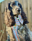 Eden's Orchard - Dog Collar + ID Tag Holder