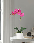 Artificial Orchid Plant in Vase - 20"
