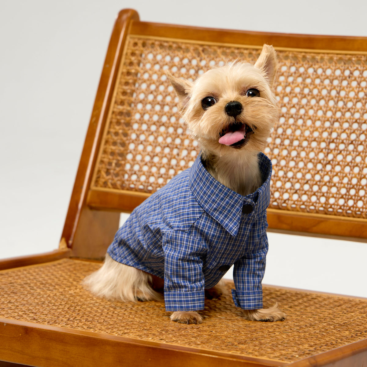 Plaid Shirt