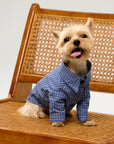 Plaid Shirt