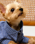 Plaid Shirt