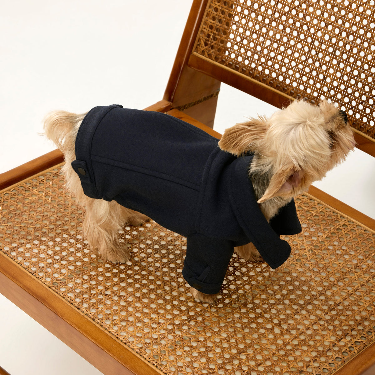 Woolen Jacket