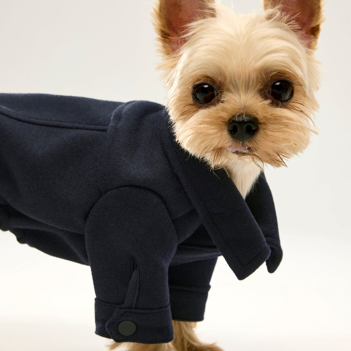 Woolen Jacket
