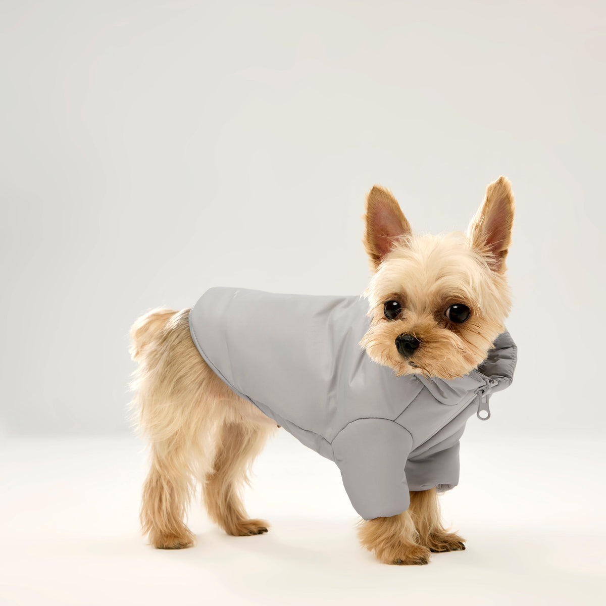 Zip Up Puffer Jacket