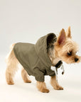 Pastel Thin Coat