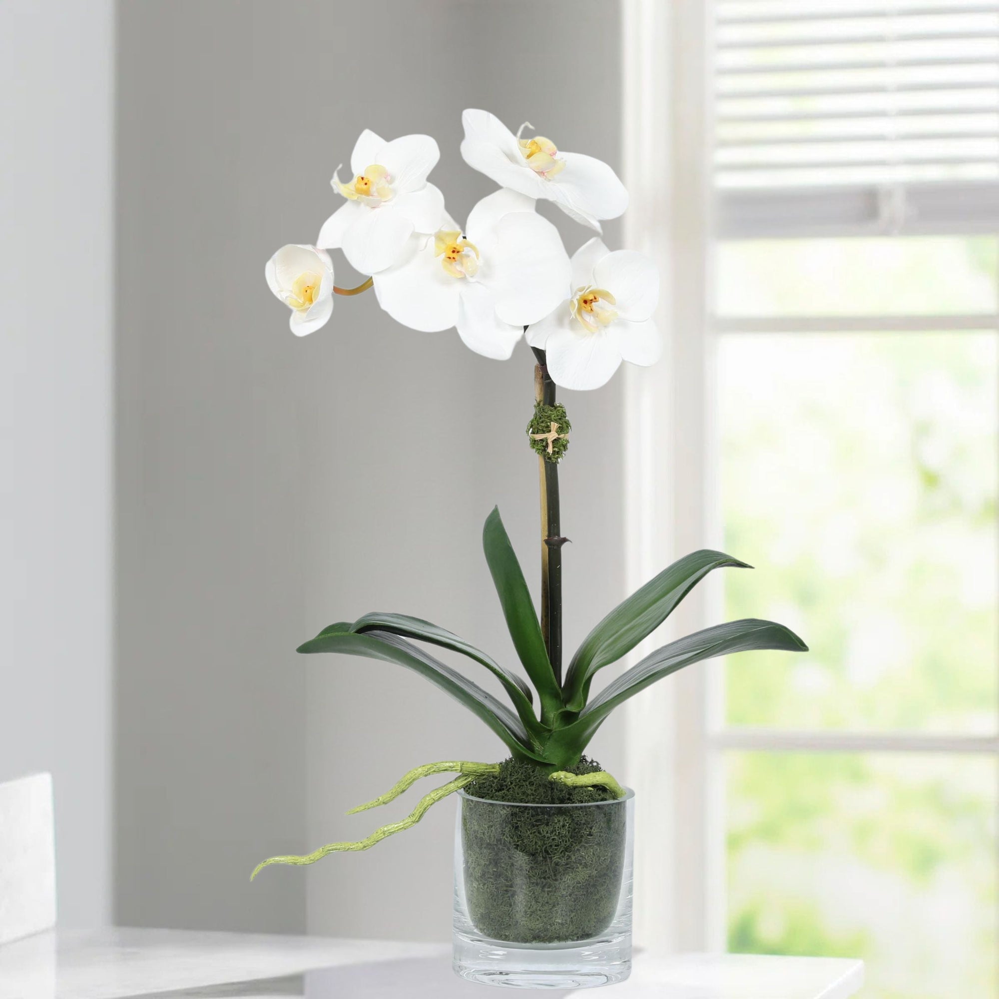 Faux Orchid Plant in Glass Vase
