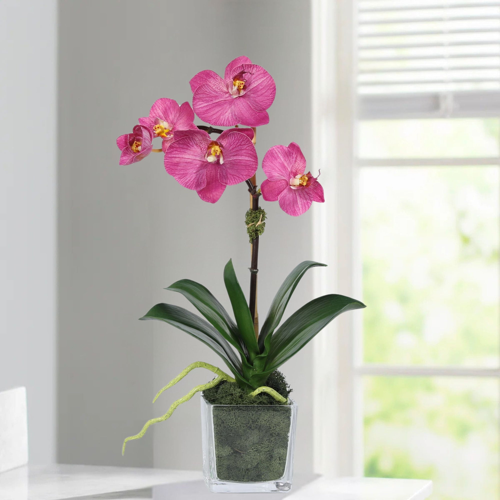 Mini Orchid Arrangement in Square Glass Vase