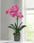 Mini Orchid Arrangement in Square Glass Vase