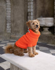 Lava Orange British Wool Dog Jumper