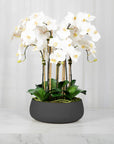 Faux White Orchid Arrangement in Matte Black Planter