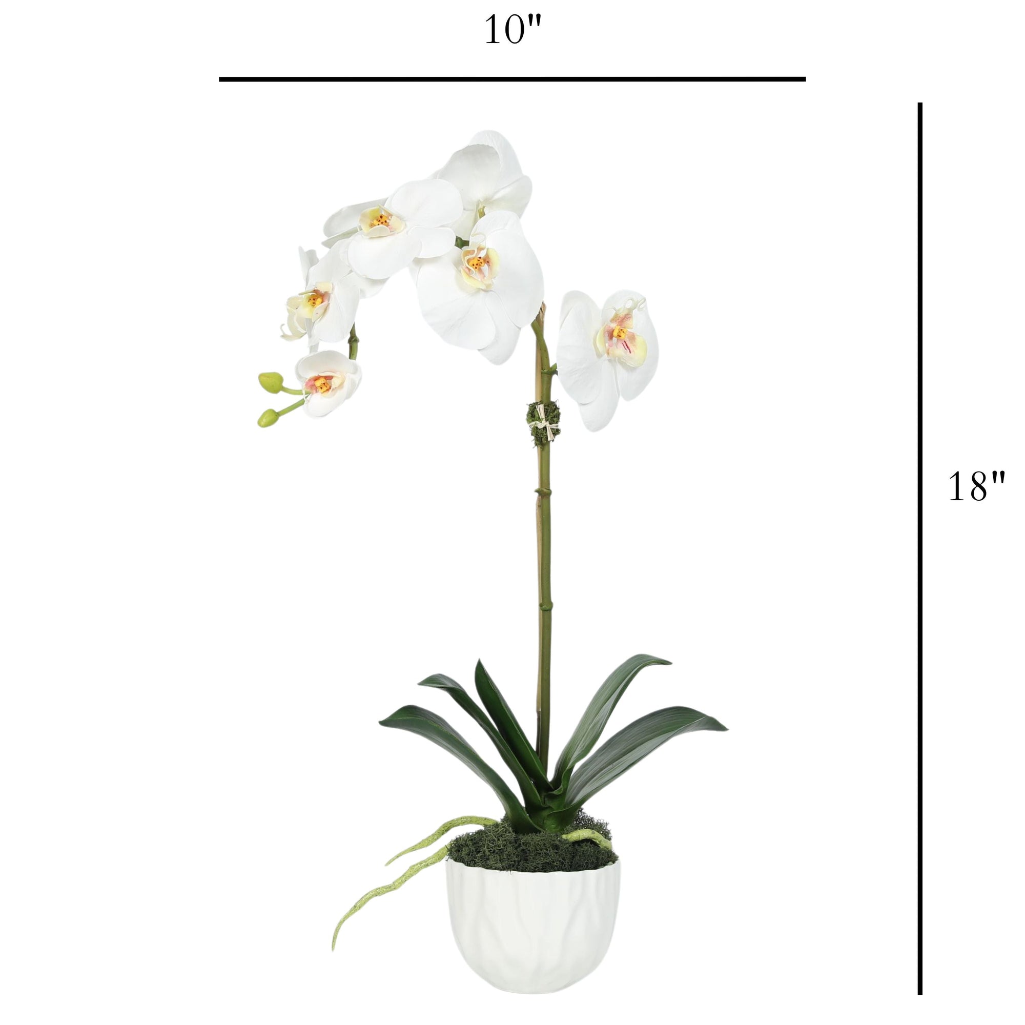 Faux Orchid Plant in White Vase - 18"