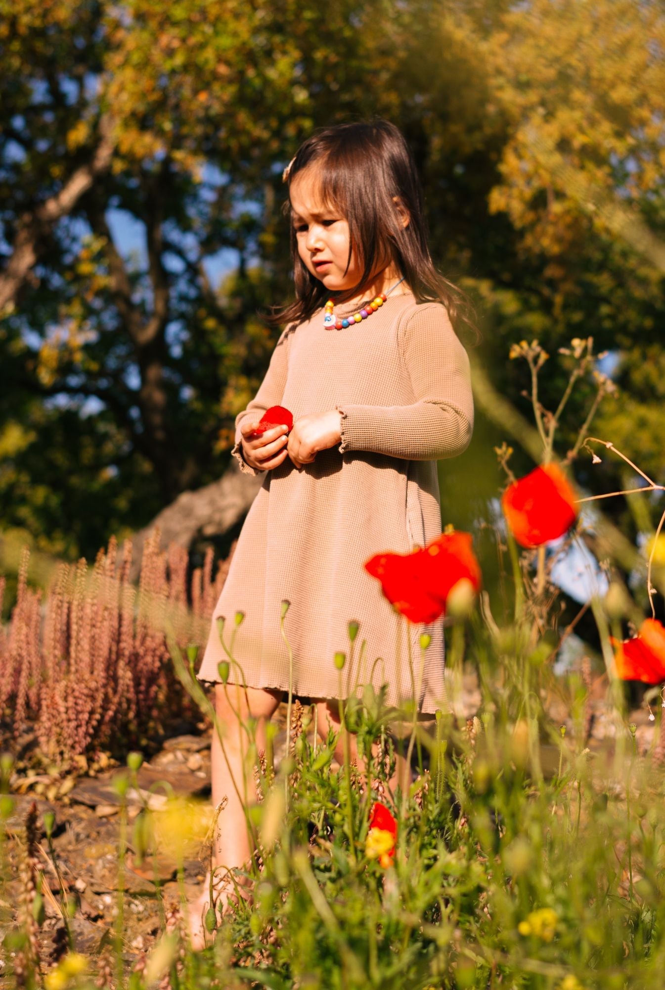 The Play Dress -  OCHRE