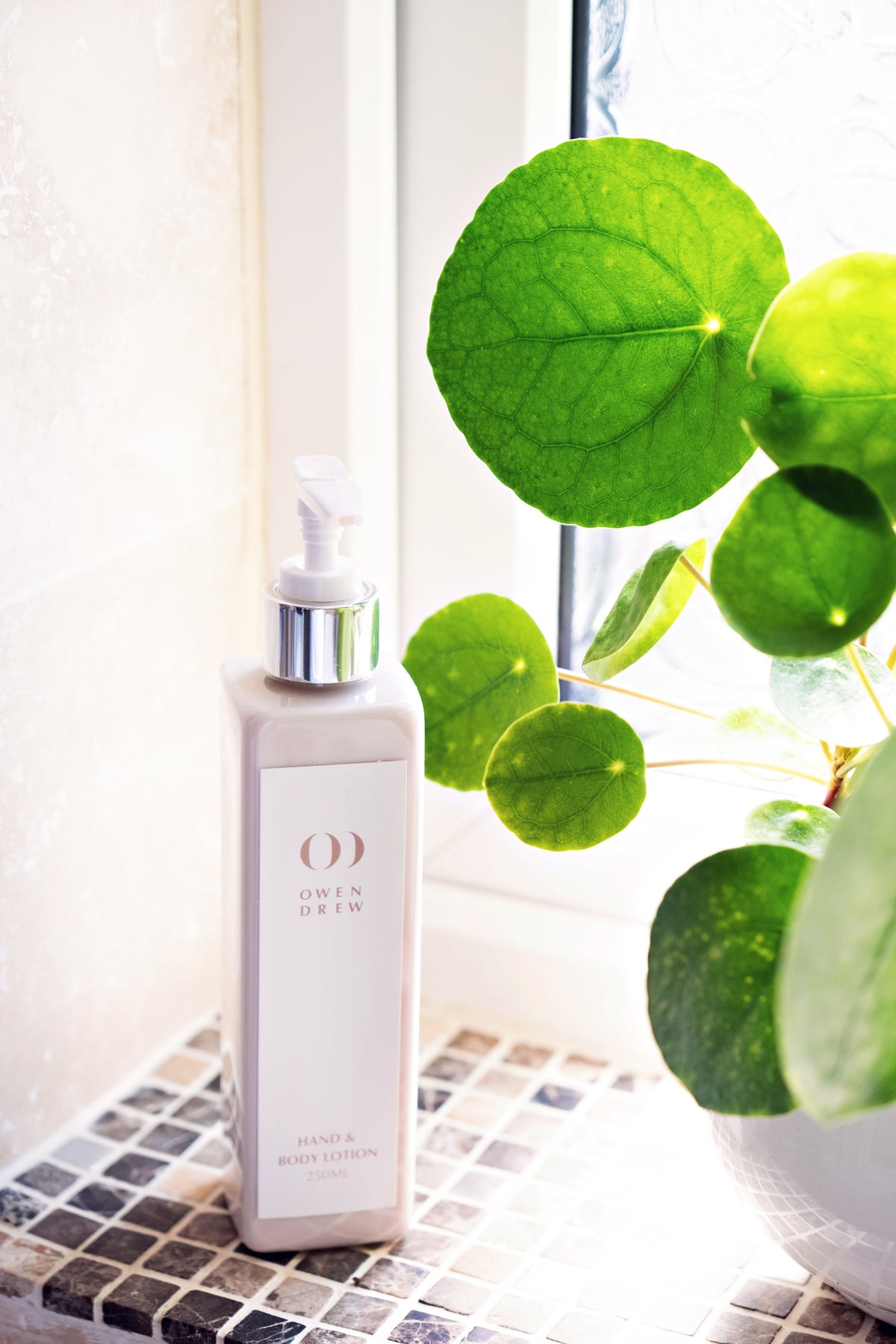 HAND WASH &amp; BODY LOTION SET
