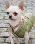 Sleeveless Bottom Up Jacket