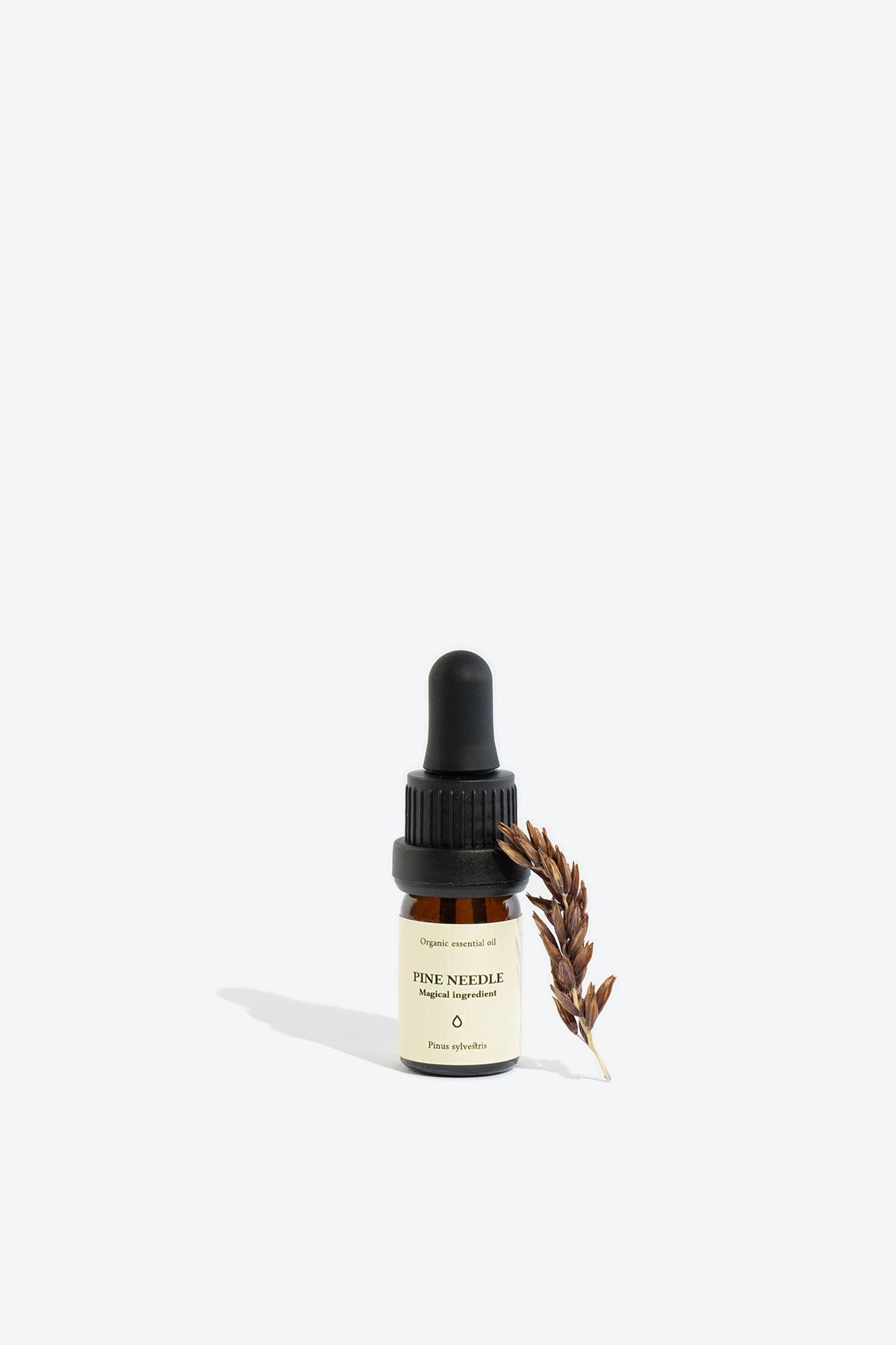 Natural Organic Pinus Sylvestris Oil – Fresh & Purifying Essential by Smells Like Spells at www.brixbailey.com