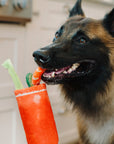 Buddy Mary dog toy