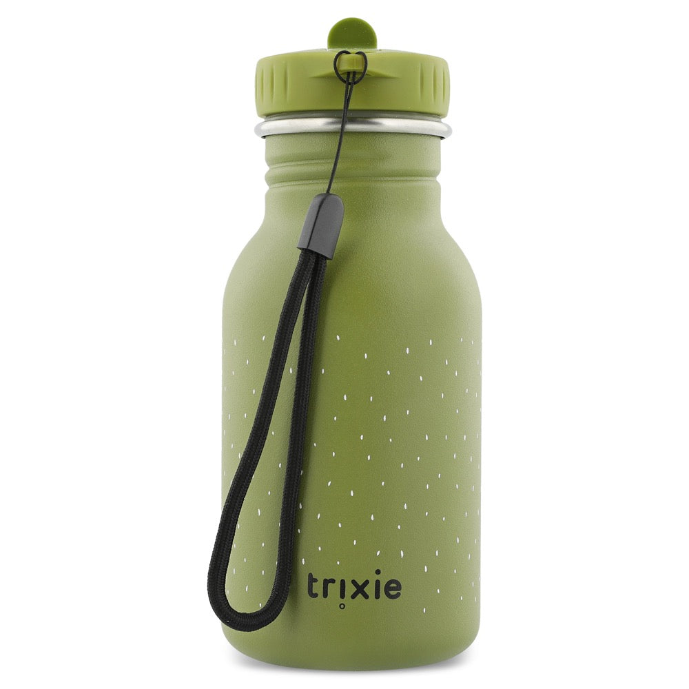 Stainless Steel Water Bottle 350 ml Mr Dino