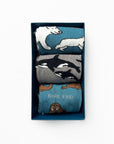 Arctic Animals Bamboo Socks Gift Box of 3