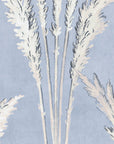 Pampas - In Powder Blue - Wallpaper