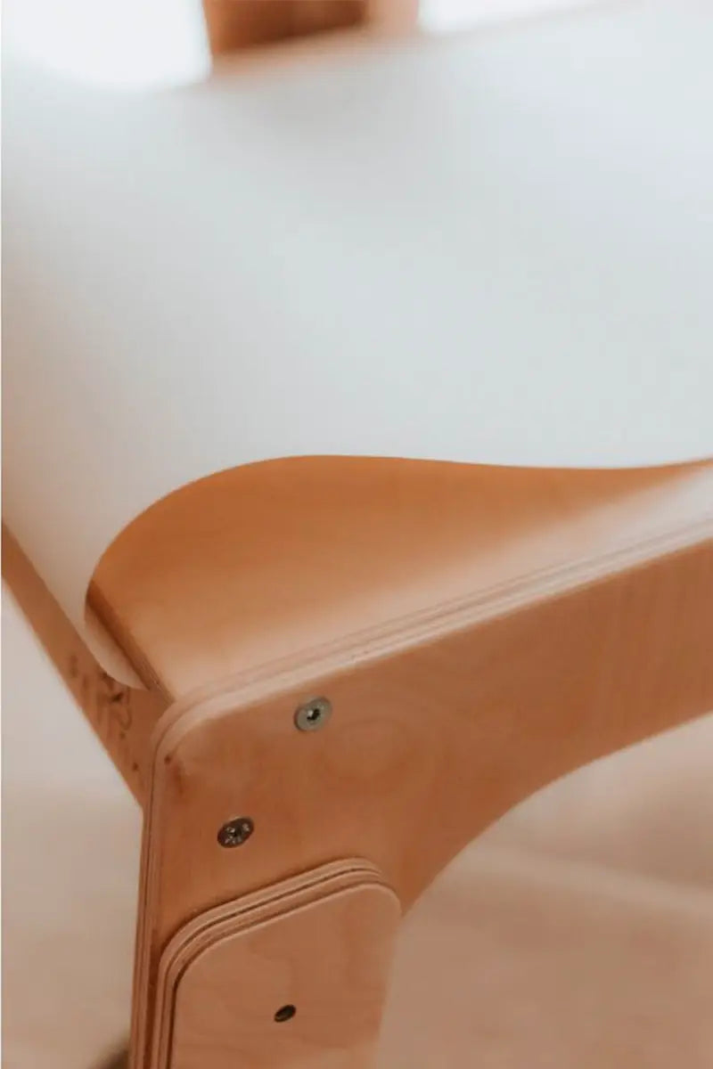 Paper roll with holder for Petinka tables-2