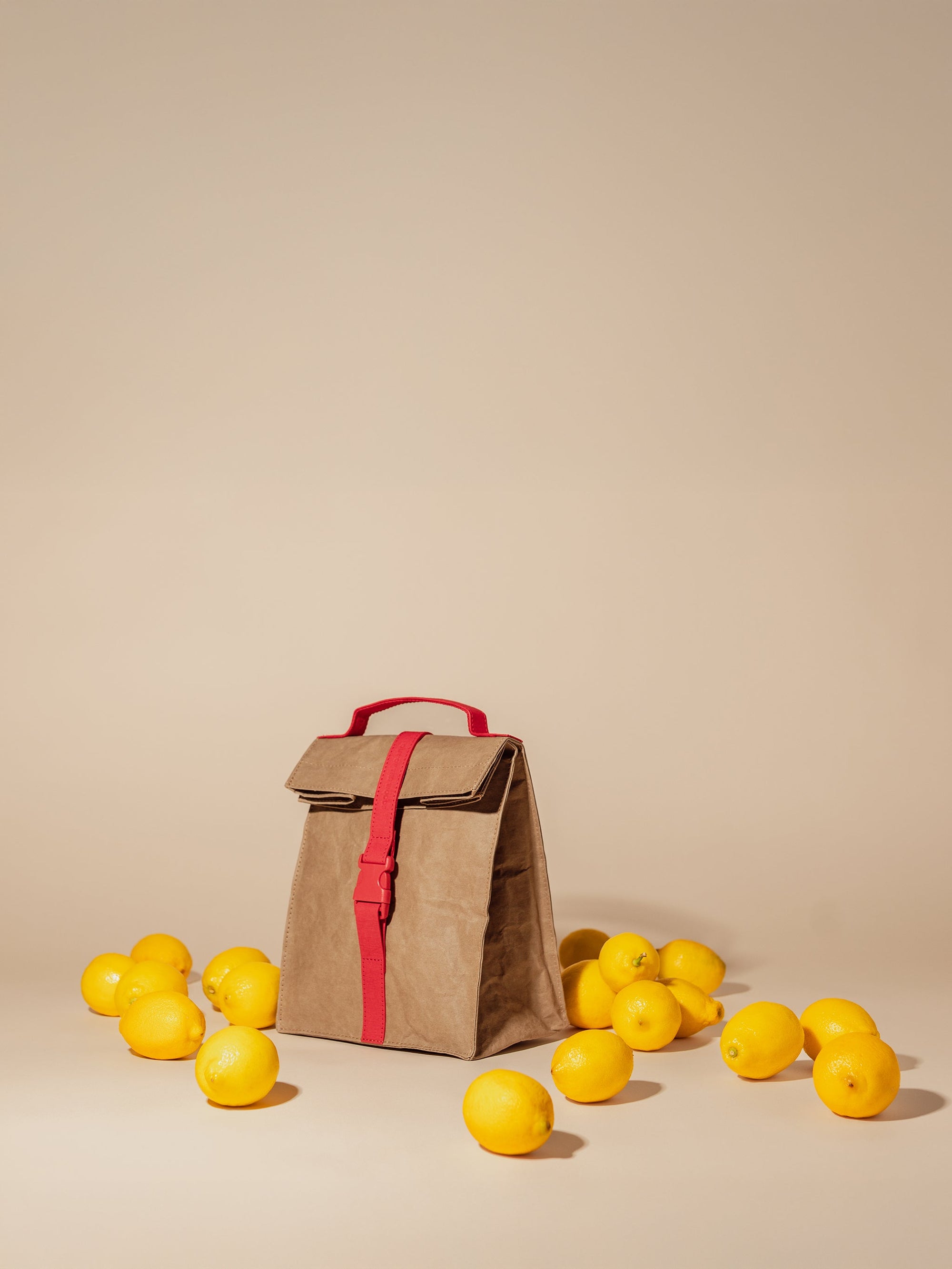 Paper Sack Lunch Cooler-2