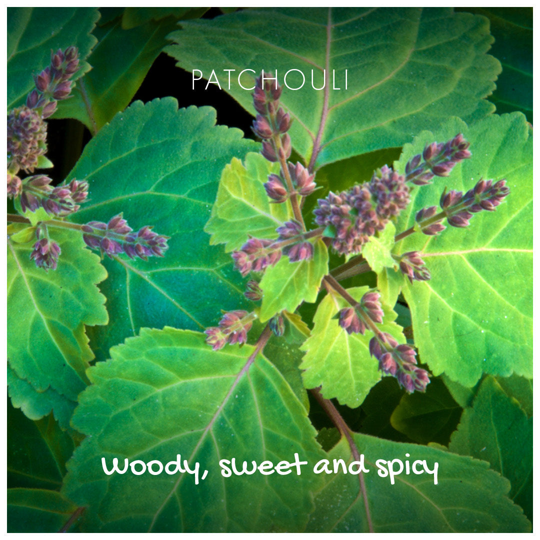 Natural Soap - Patchouli