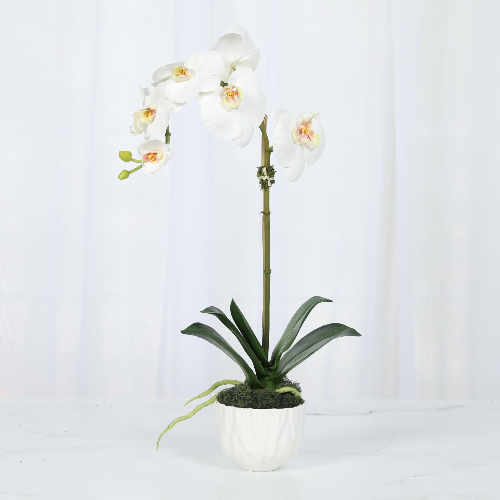 Faux Orchid Plant in White Vase - 18"