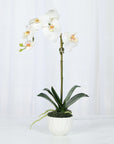 Faux Orchid Plant in White Vase - 18"